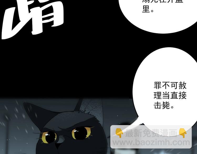 第4话   猫觅馋65