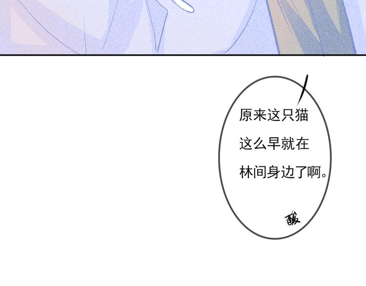 第2话 猫比我早37