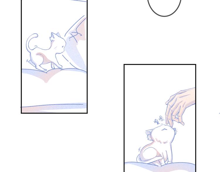 第2话 猫比我早35