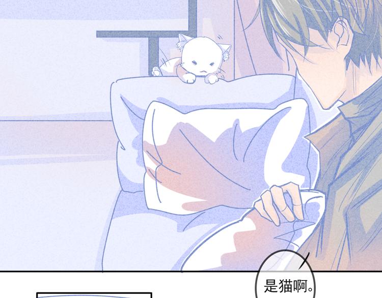 第2话 猫比我早34