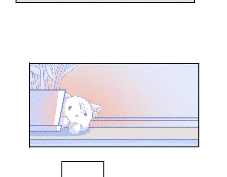 第2话 猫比我早32