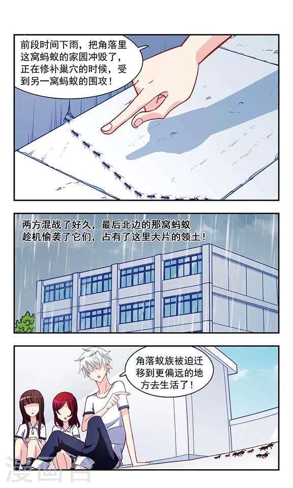 第21话 楼顶聚会13