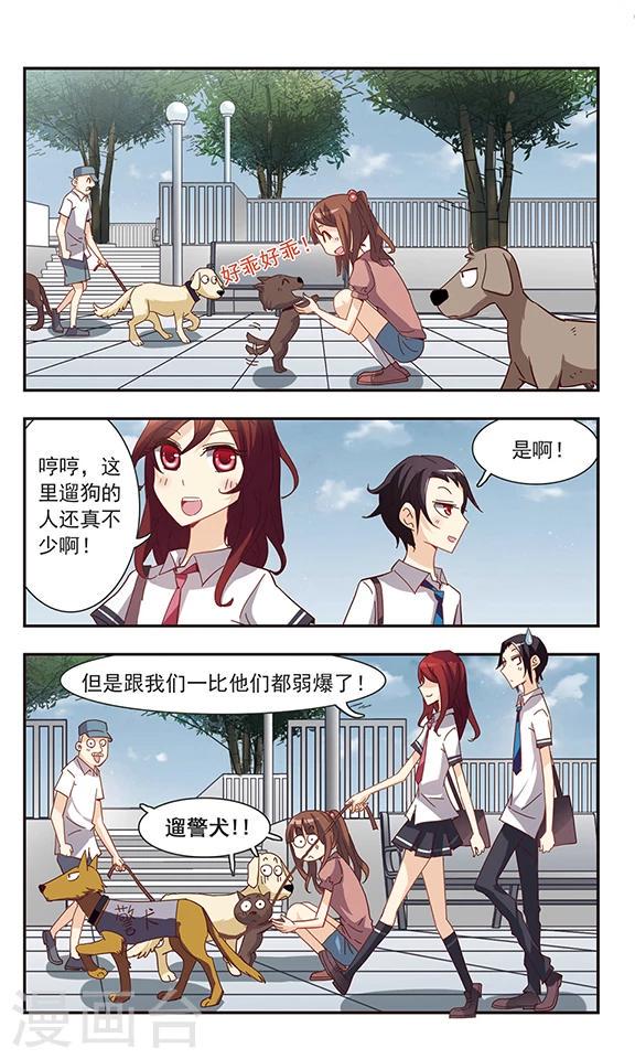 第34话 狗狗侦探1