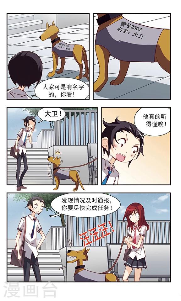 第34话 狗狗侦探3