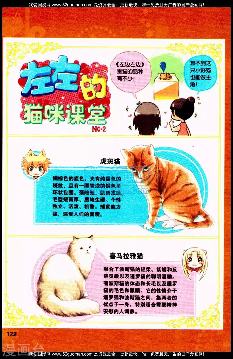左左的猫咪课堂20