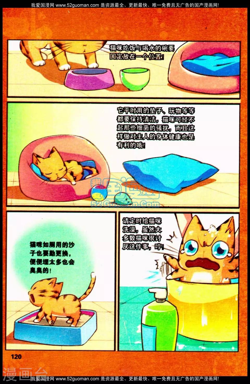 左左的猫咪课堂12