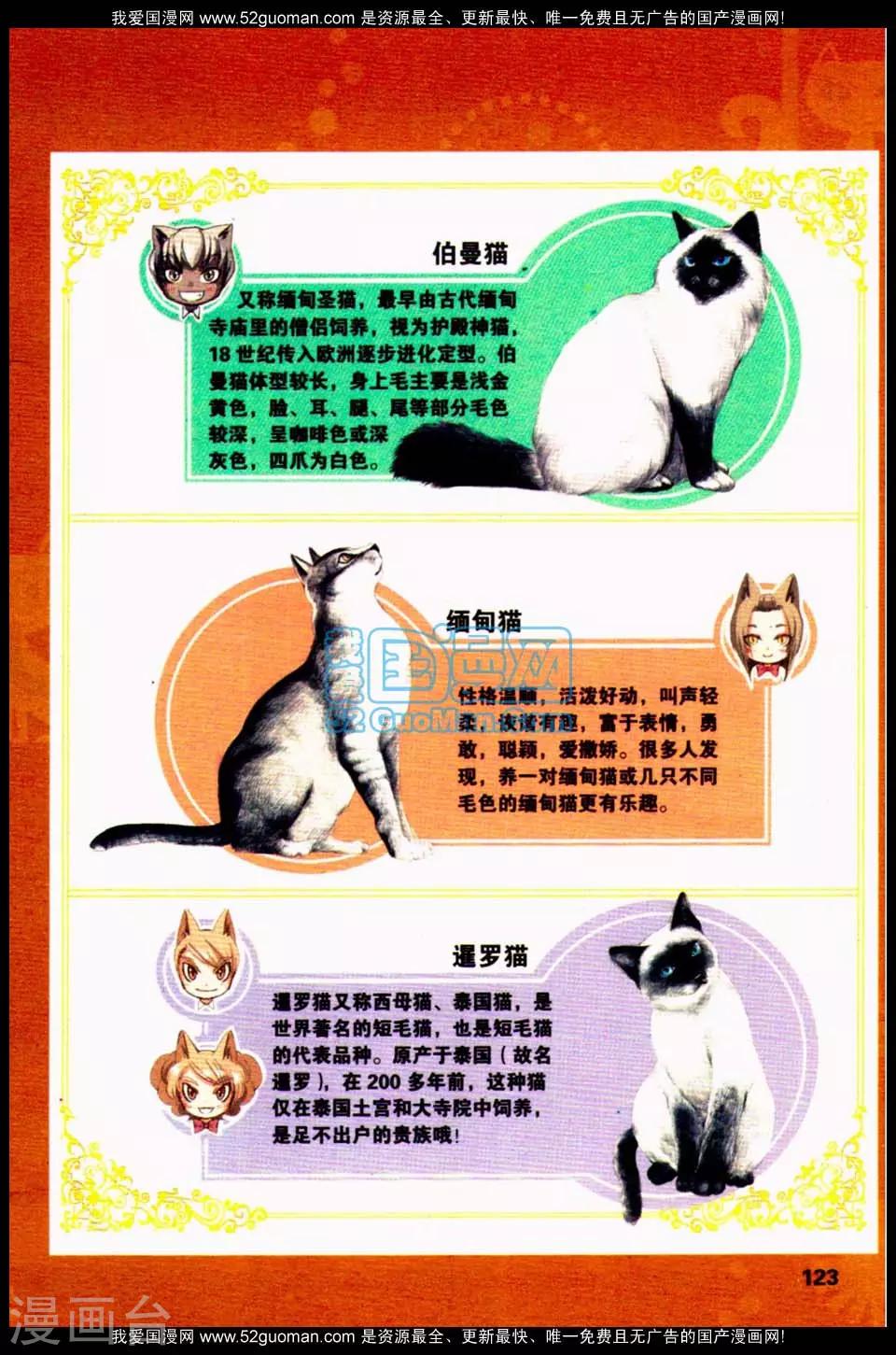 左左的猫咪课堂21