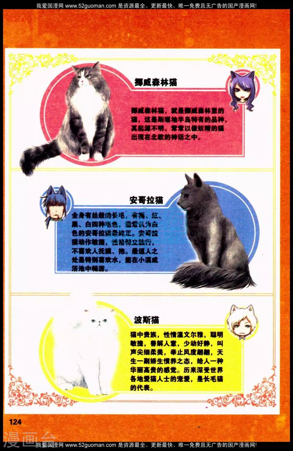 左左的猫咪课堂22