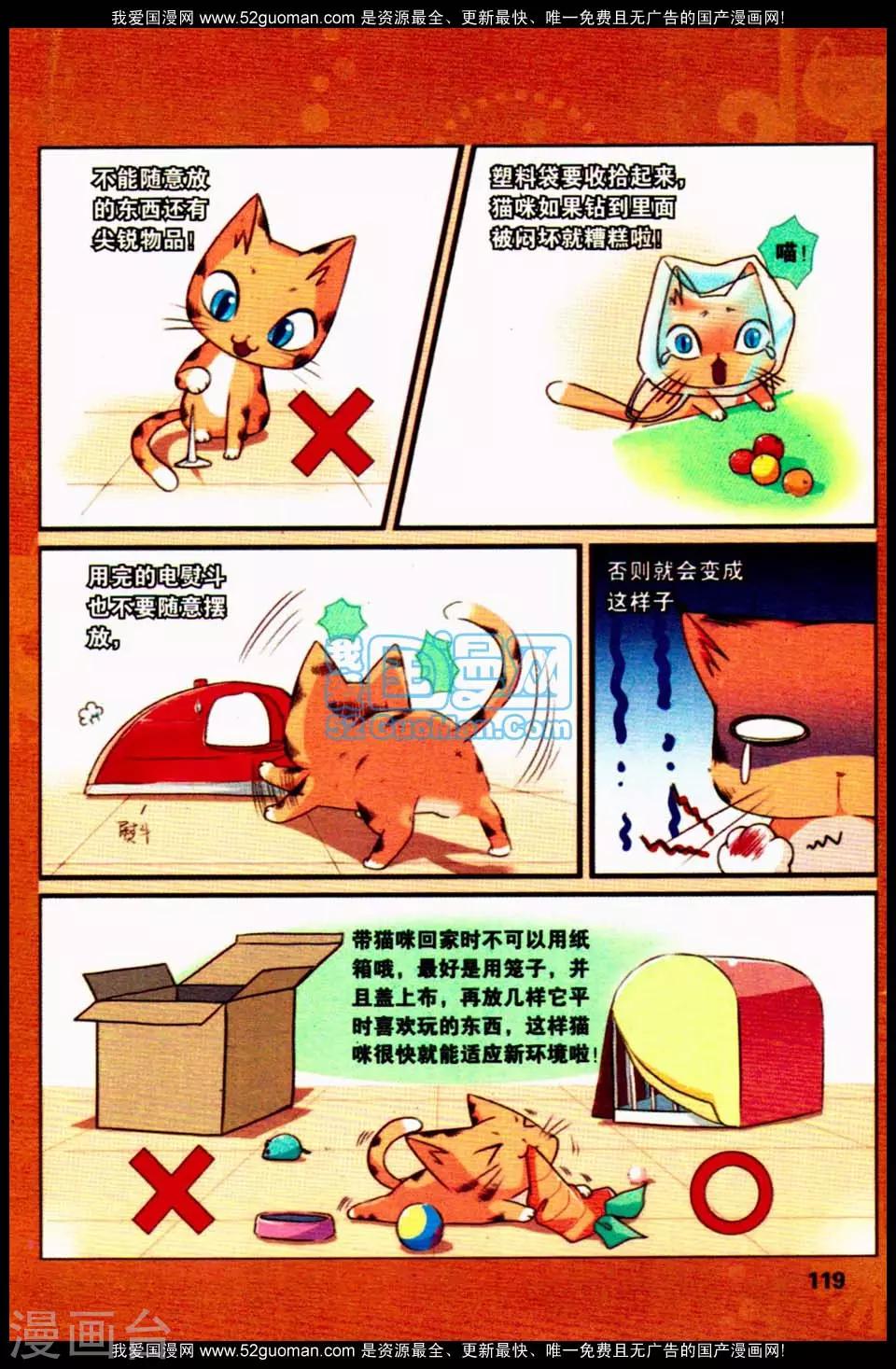 左左的猫咪课堂11