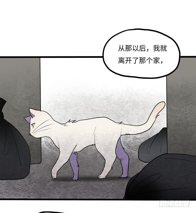 再次见面44