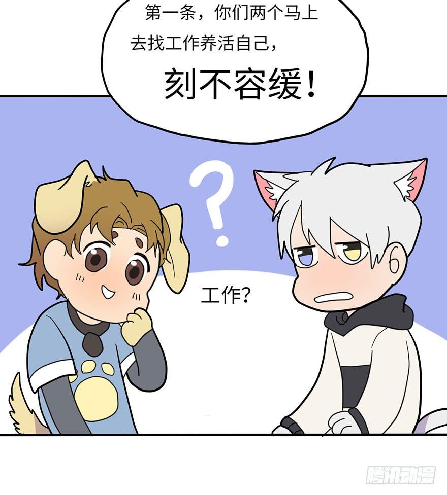 约法4章？28