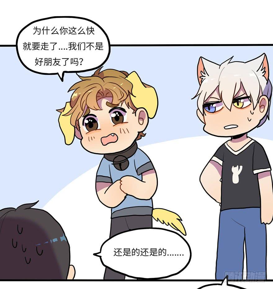 突如其来的关心2