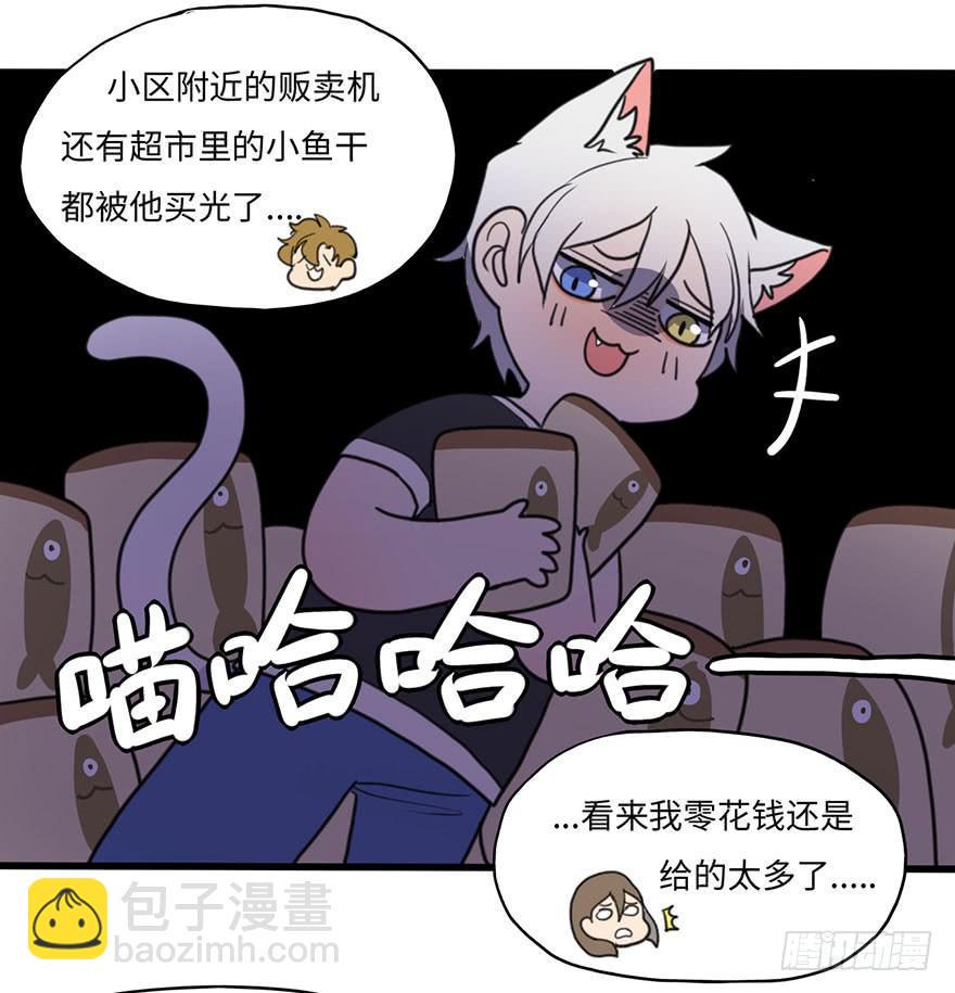 关于小次郎的大猜想14