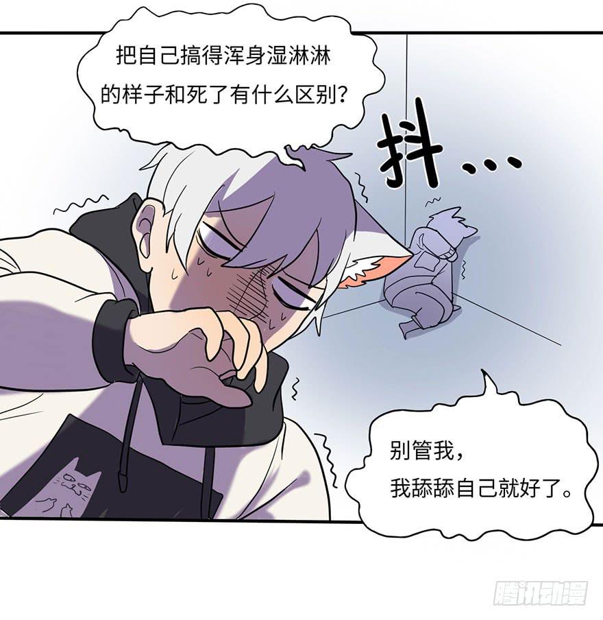 约法4章？37