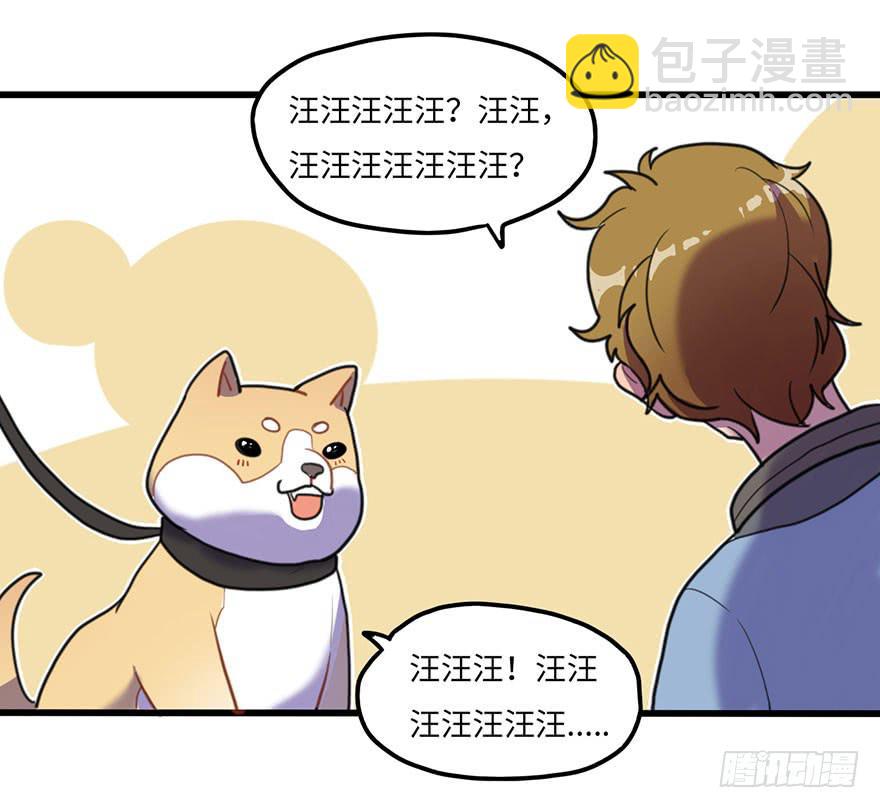 关于小次郎的大猜想26