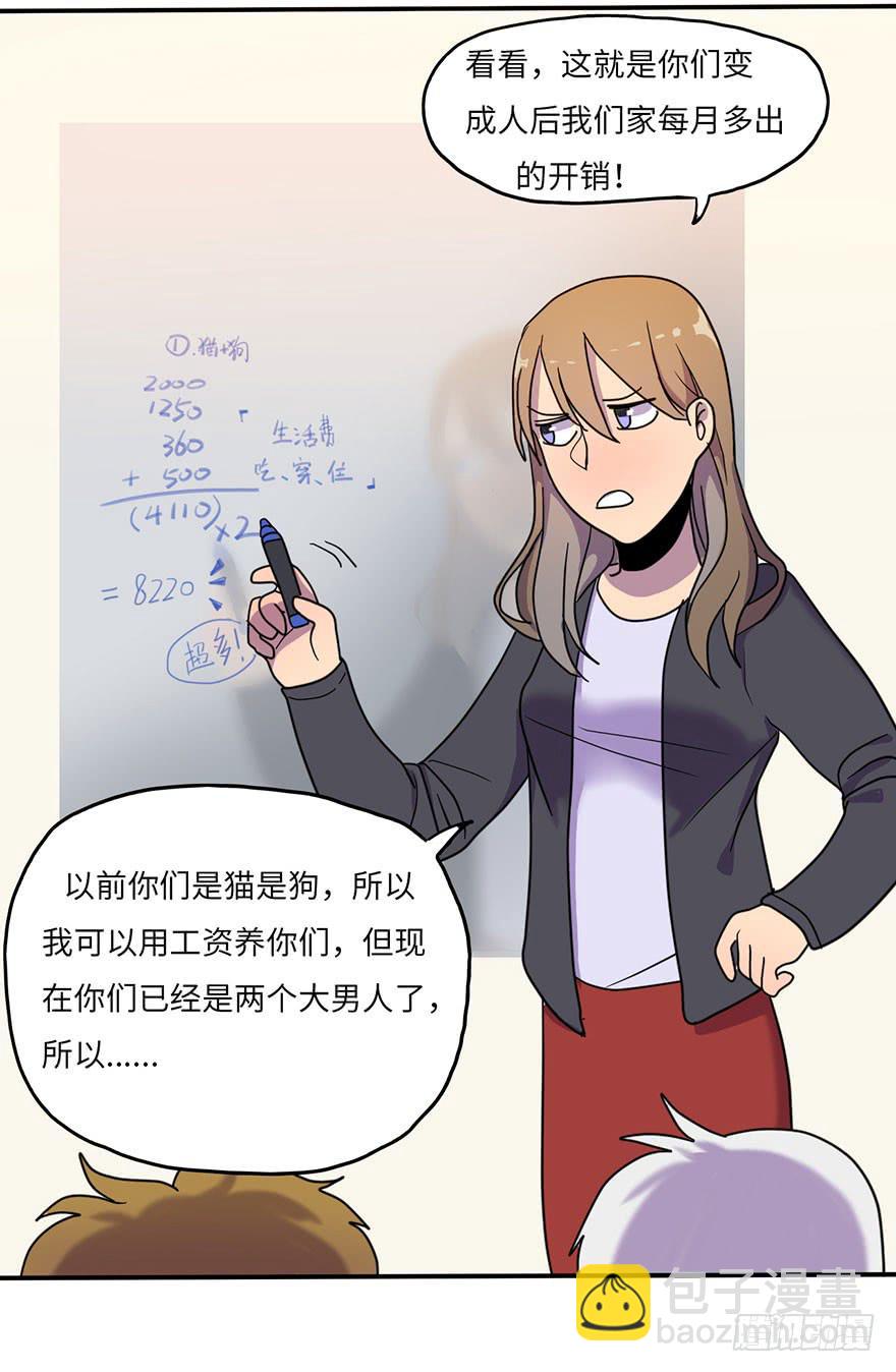约法4章？26
