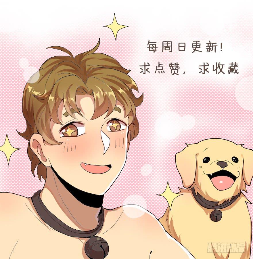 是宠物！48