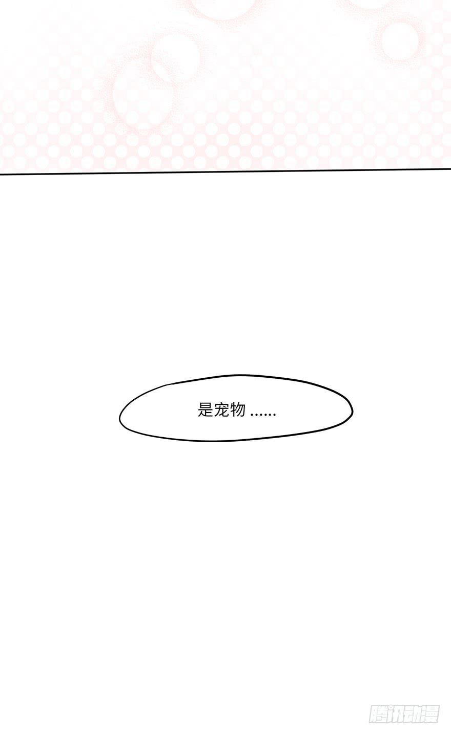 是宠物！47