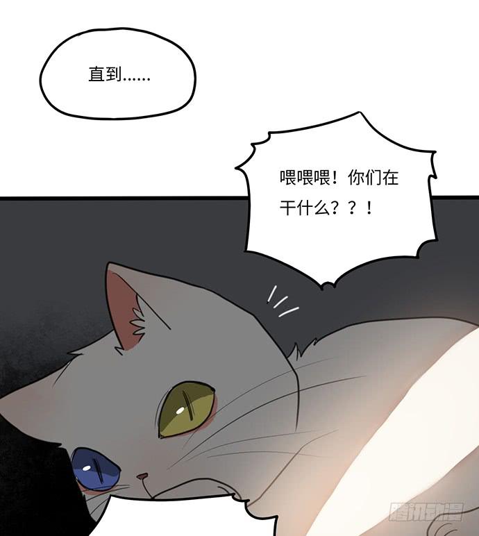 再次见面47