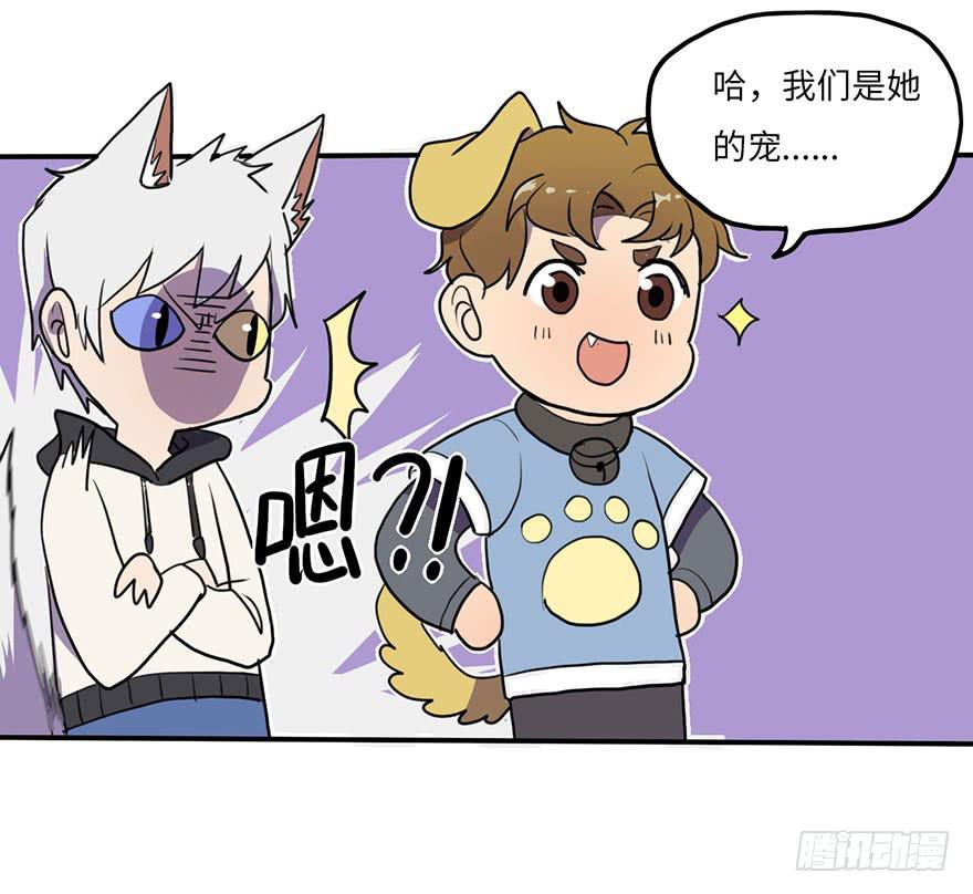 添麻烦11