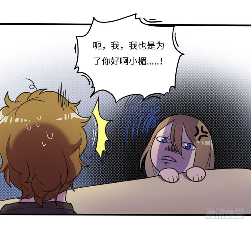 我家猫生病了究竟该去哪个医院啊？7