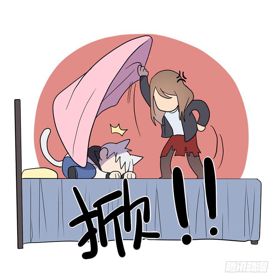 约法4章？20