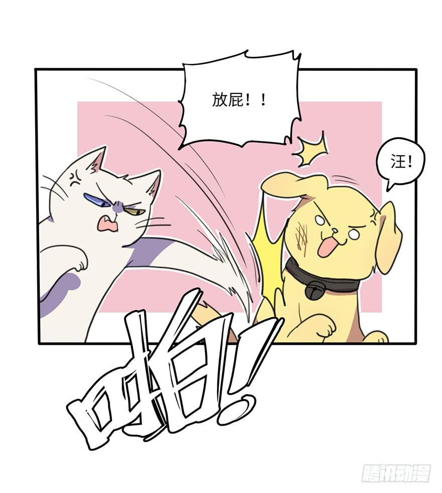 我说了，是你不信啊21