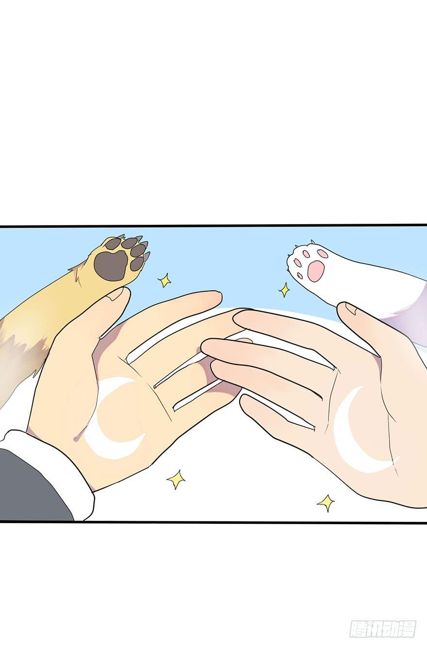 是宠物！12