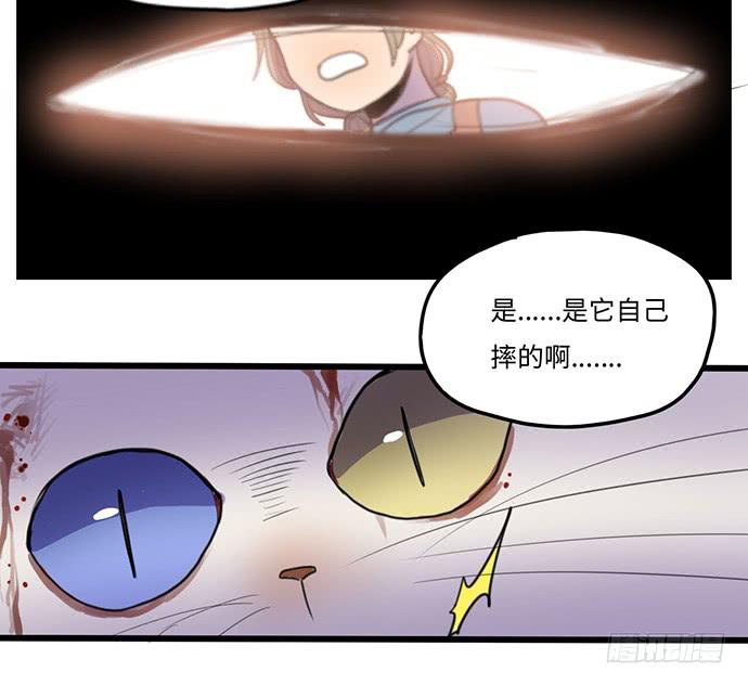 再次见面37