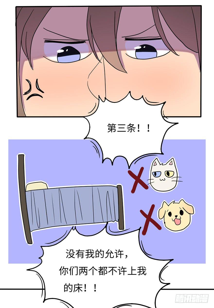 约法4章？31