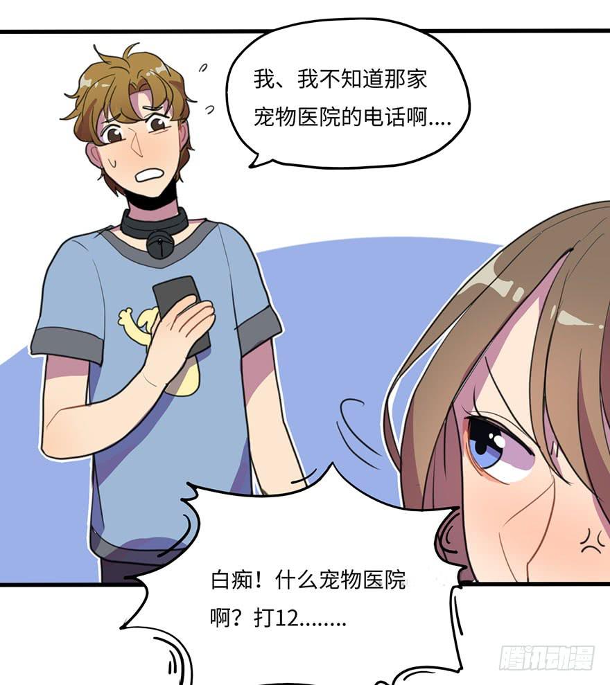 我家猫生病了究竟该去哪个医院啊？27