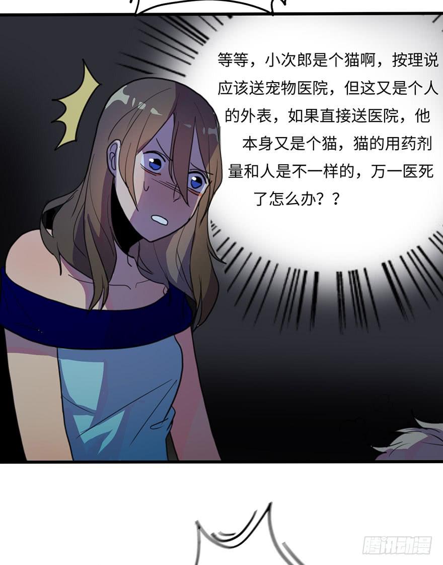 我家猫生病了究竟该去哪个医院啊？28