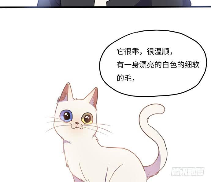 突然的消息20