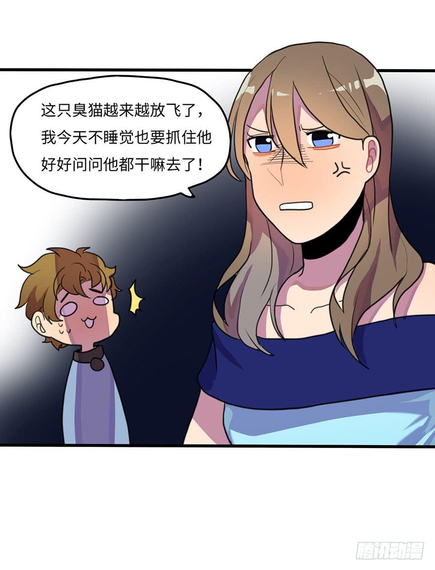 我家猫生病了究竟该去哪个医院啊？13