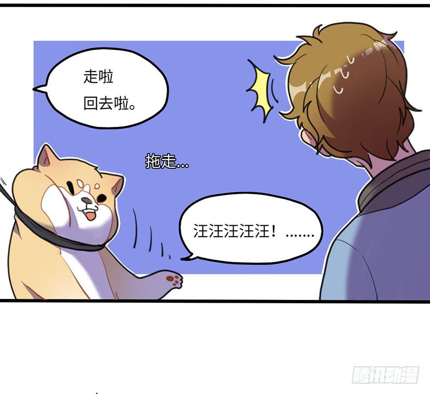 关于小次郎的大猜想27