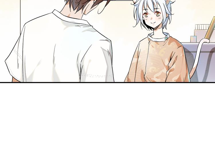 被猫碰瓷了19