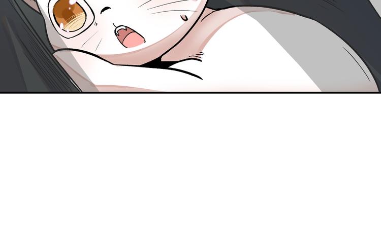 谋害一只猫28