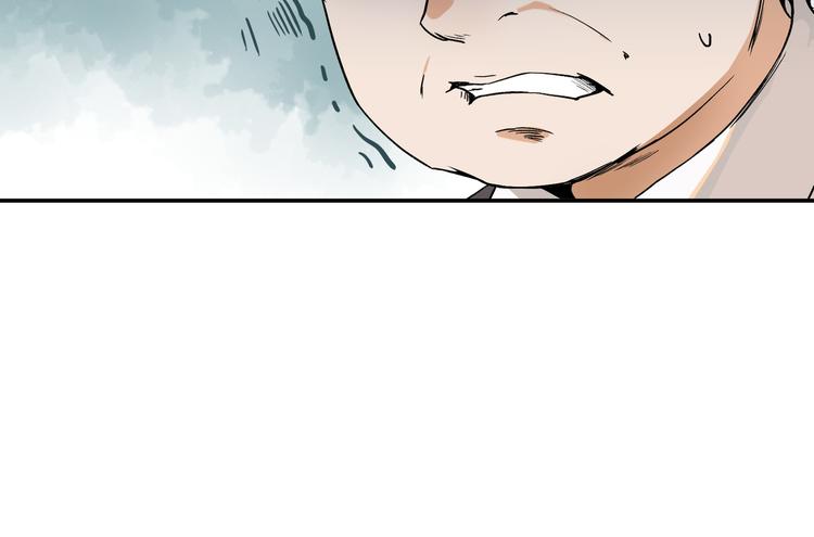 网红猫22