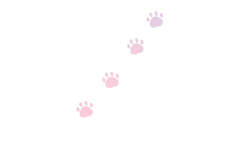 变不回来了28
