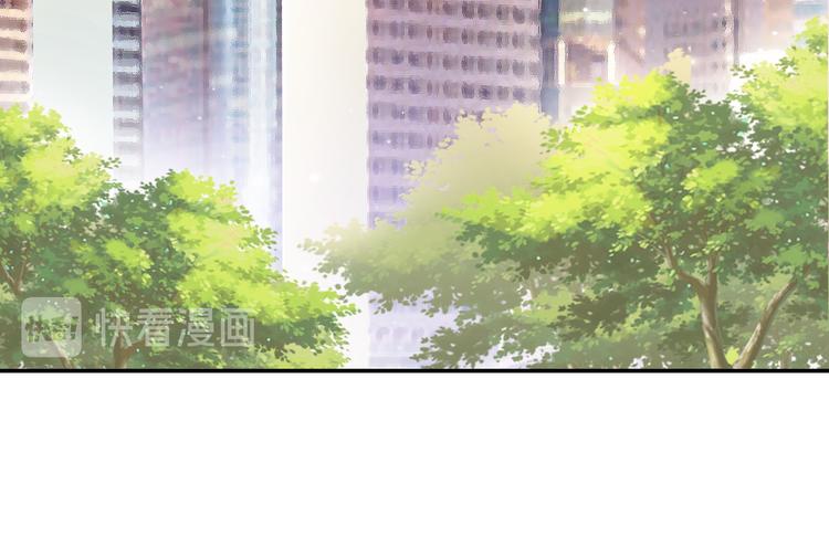 网红猫28