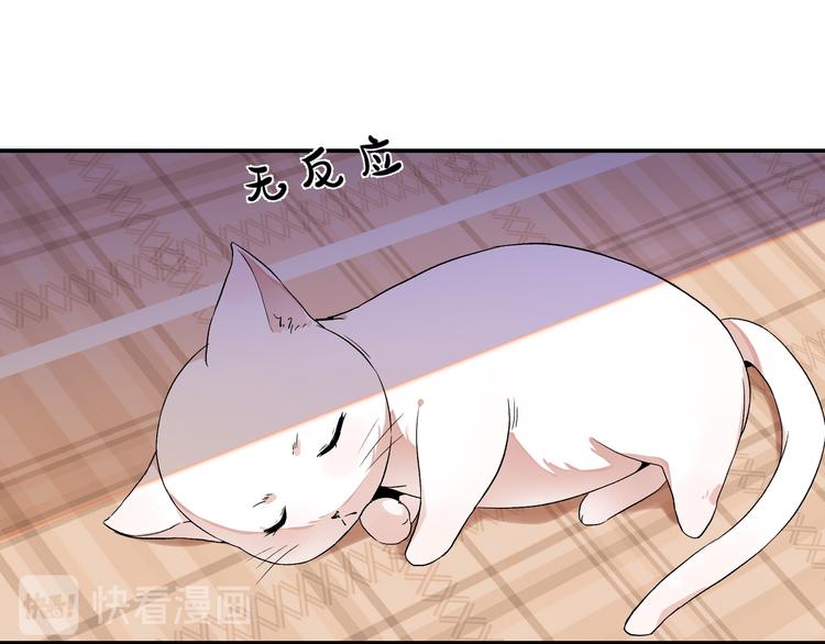 终于找到你了14