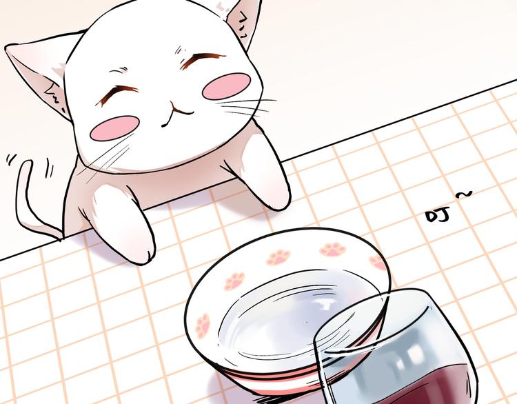 网红猫54