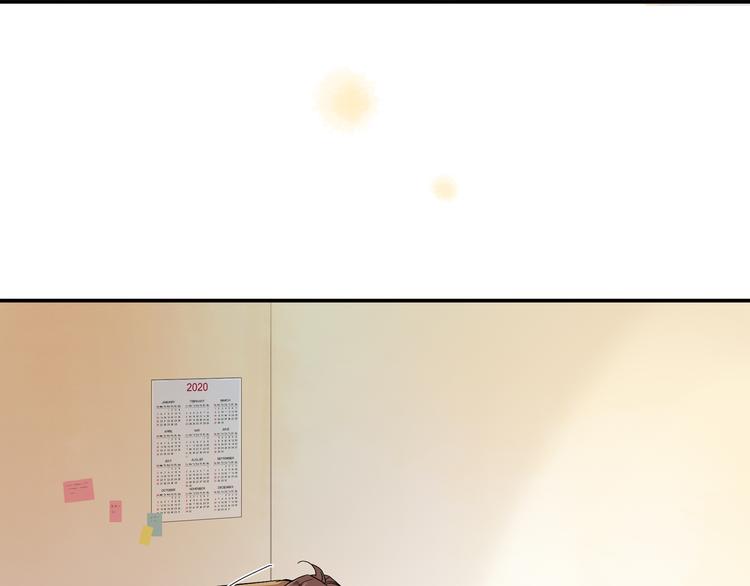 被猫碰瓷了6