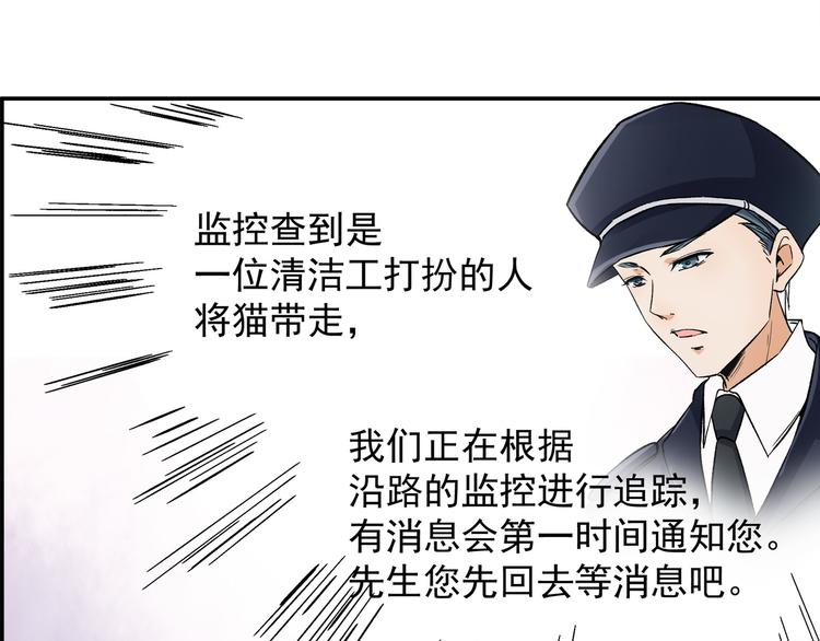 谋害一只猫56