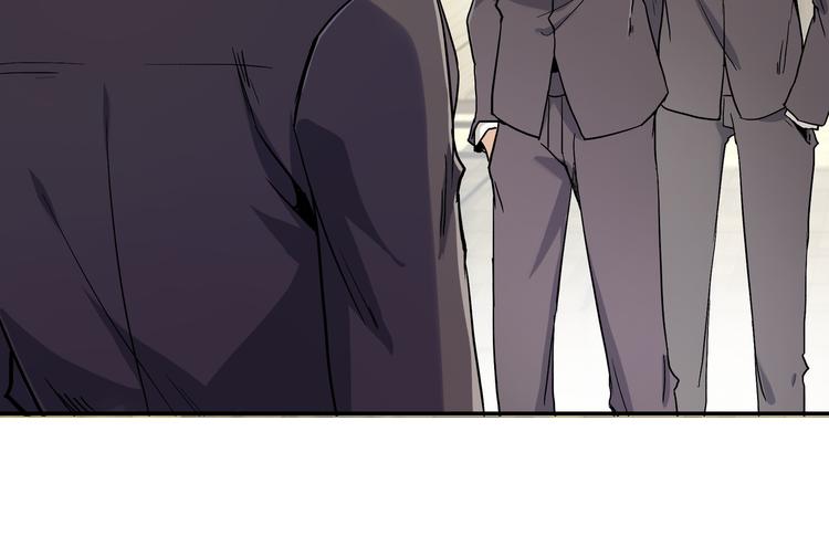 网红猫19