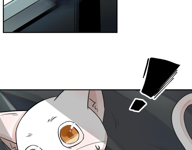 谋害一只猫27
