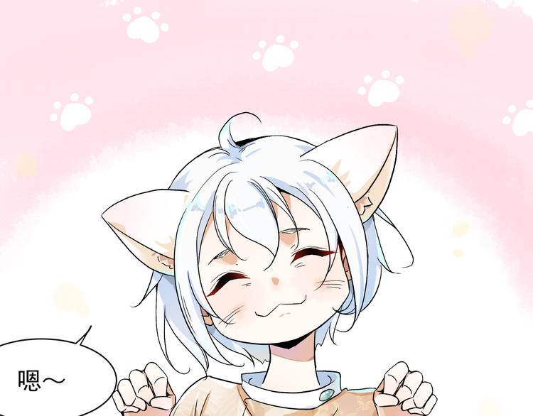 被猫碰瓷了38