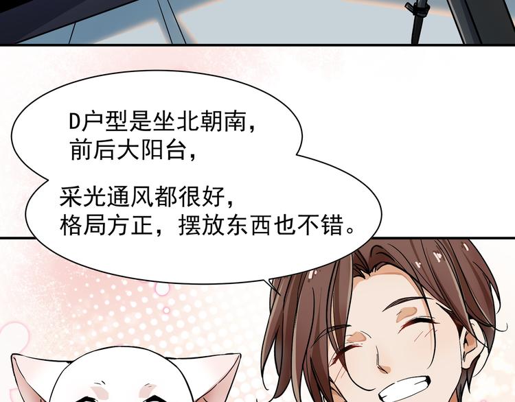 谋害一只猫12