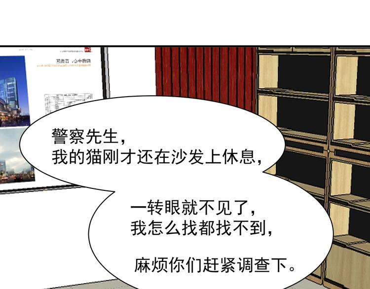 谋害一只猫44