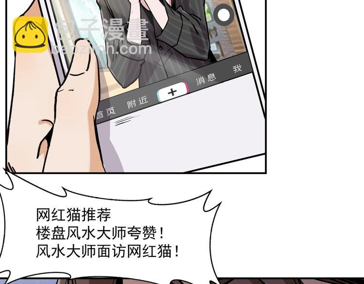 网红猫12